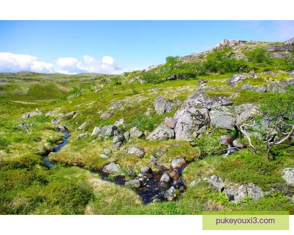 KW泰坦102-90苔原高性能探索与极地应用研究解析